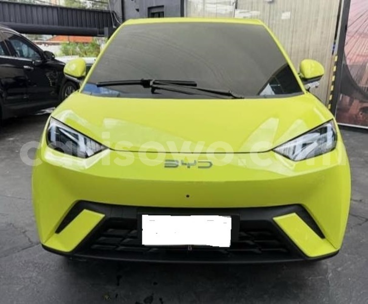 Big with watermark byd seagull benin cotonou 24559