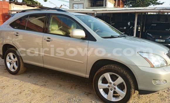 Acheter Occasion Voiture Lexus RX 330 Gris à Cotonou, Benin