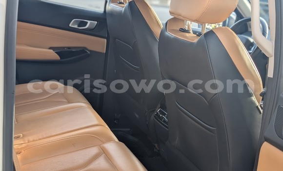 Acheter Occasion Voiture Changan Hunter Blanc à Cotonou, Benin