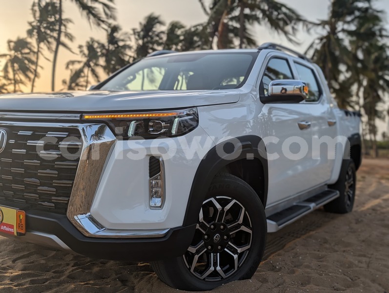 Big with watermark changan hunter benin cotonou 24605