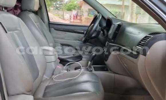 Sayi Na hannu Hyundai Santa Fe Sauran Mota in Cotonou a Benin Sayi Na hannu Hyundai Santa Fe Sauran Mota in Cotonou a Benin