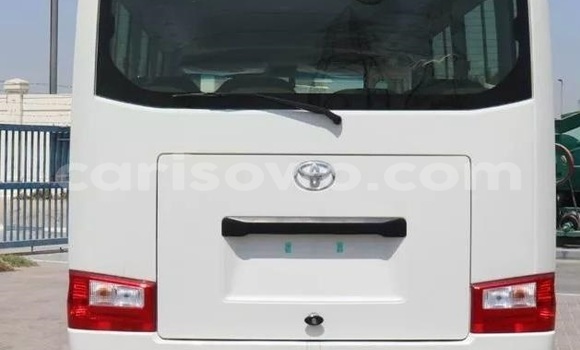 Buy Used Toyota Coaster White Car in Cotonou in Benign Buy Used Toyota Coaster White Car in Cotonou in Benign