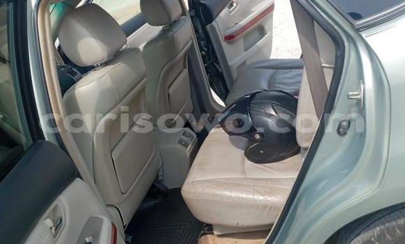 Acheter Occasion Voiture Lexus RX 330 Gris à Cotonou, Benin
