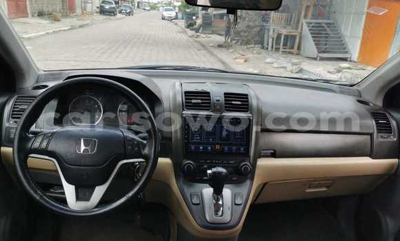 Buy Used Honda CR–V Silver Car in Cotonou in Benign Buy Used Honda CR–V Silver Car in Cotonou in Benign