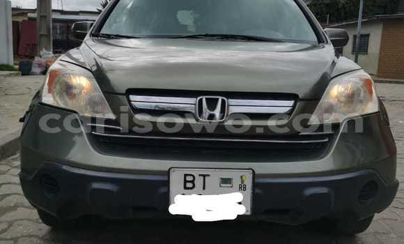 Buy Used Honda CR–V Silver Car in Cotonou in Benign Buy Used Honda CR–V Silver Car in Cotonou in Benign