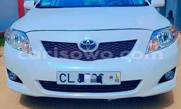 Acheter Occasion Voiture Toyota Corolla Blanc à Cotonou, Benin Acheter Occasion Voiture Toyota Corolla Blanc à Cotonou, Benin