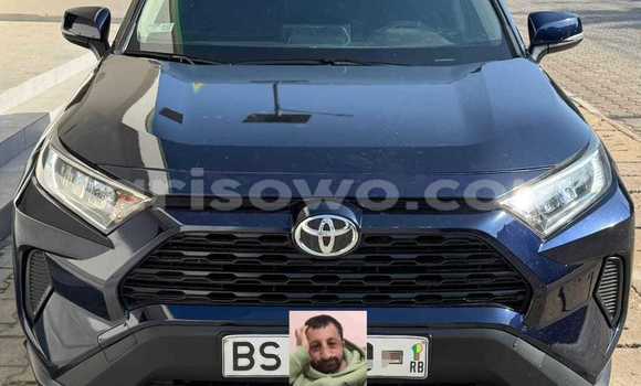 Acheter Neuf Voiture Toyota RAV4 Autre à Cotonou, Benin Acheter Neuf Voiture Toyota RAV4 Autre à Cotonou, Benin