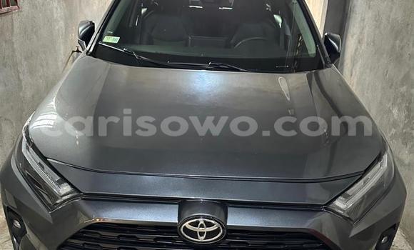 Acheter Occasion Voiture Toyota RAV4 Gris à Cotonou, Benin Acheter Occasion Voiture Toyota RAV4 Gris à Cotonou, Benin