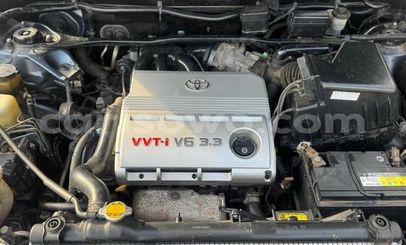 Ra Àlòkù Toyota Highlander Brown Ọkọ̀ in Cotonou ni Benin Ra Àlòkù Toyota Highlander Brown Ọkọ̀ in Cotonou ni Benin
