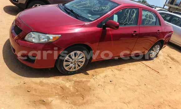Acheter Occasion Voiture Toyota Corolla Rouge à Cotonou, Benin Acheter Occasion Voiture Toyota Corolla Rouge à Cotonou, Benin