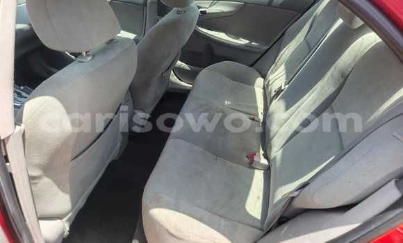 Acheter Occasion Voiture Toyota Corolla Rouge à Cotonou, Benin Acheter Occasion Voiture Toyota Corolla Rouge à Cotonou, Benin