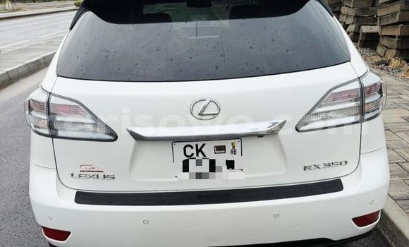 Acheter Occasion Voiture Lexus RX 350 Blanc à Cotonou, Benin