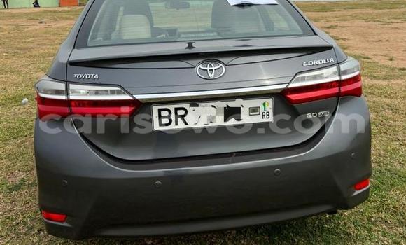 Acheter Occasion Voiture Toyota Corolla Other à Cotonou, Benin