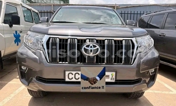 Acheter Occasion Voiture Toyota Prado Gris à Cotonou, Benin