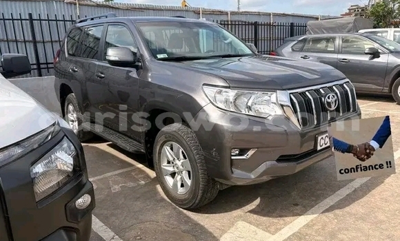 Acheter Occasion Voiture Toyota Prado Gris à Cotonou, Benin Acheter Occasion Voiture Toyota Prado Gris à Cotonou, Benin