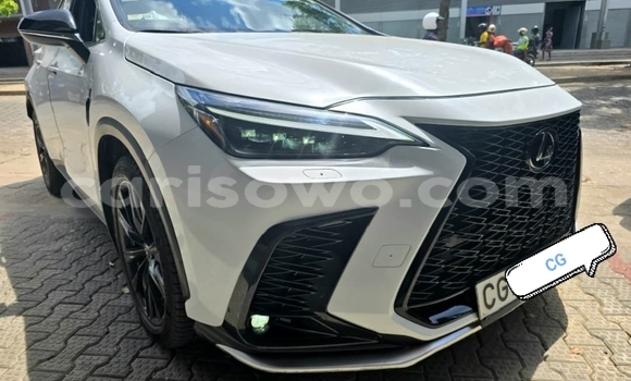 Sayi Sabo Lexus NX White Mota in Cotonou a Benin Sayi Sabo Lexus NX White Mota in Cotonou a Benin