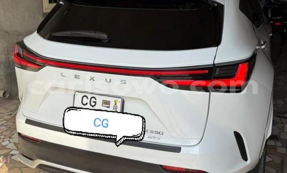 Sayi Sabo Lexus NX White Mota in Cotonou a Benin Sayi Sabo Lexus NX White Mota in Cotonou a Benin