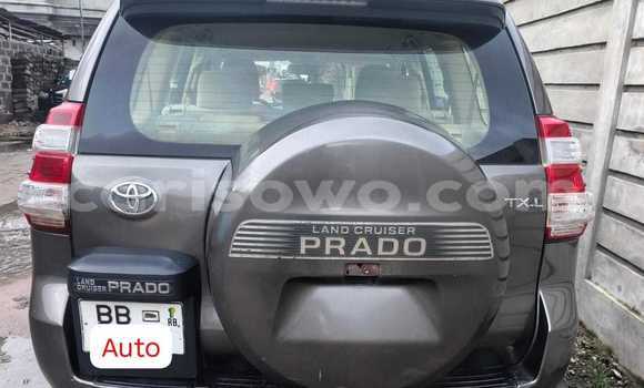 Acheter Occasion Voiture Toyota Land Cruiser Prado Gris à Cotonou, Benin Acheter Occasion Voiture Toyota Land Cruiser Prado Gris à Cotonou, Benin