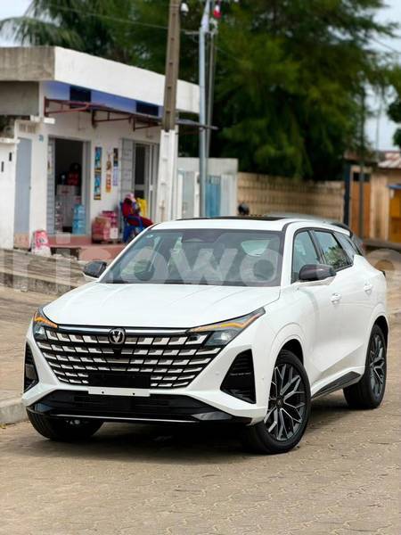 Big with watermark changan z shine benin cotonou 25055