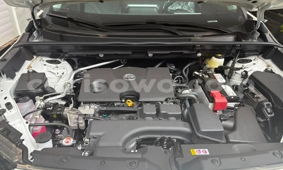Acheter Neuf Voiture Toyota RAV4 Blanc à Cotonou, Benin Acheter Neuf Voiture Toyota RAV4 Blanc à Cotonou, Benin