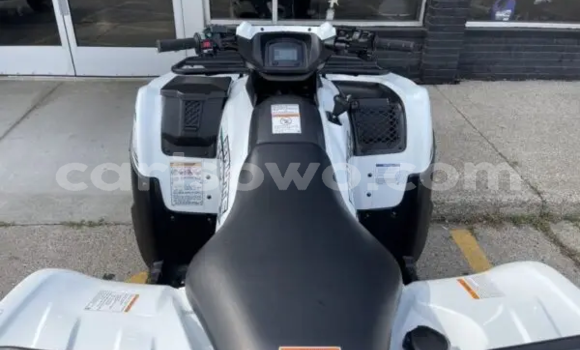 Acheter Neuf Moto Kawasaki Brute Force Blanc à Cotonou, Benin Acheter Neuf Moto Kawasaki Brute Force Blanc à Cotonou, Benin