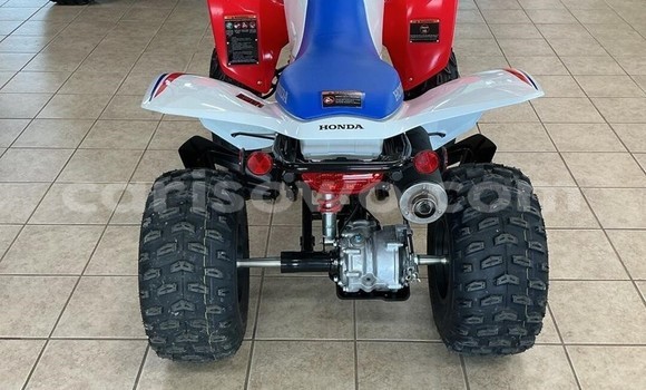 Acheter Neuf Moto Honda TRX Autre à Bassila, Benin Acheter Neuf Moto Honda TRX Autre à Bassila, Benin