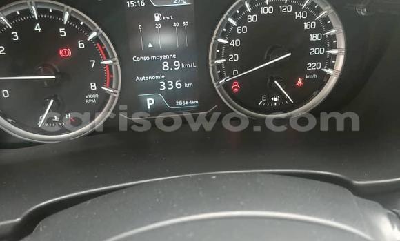 Buy Used Suzuki Grand Vitara White Car in Cotonou in Benign Buy Used Suzuki Grand Vitara White Car in Cotonou in Benign