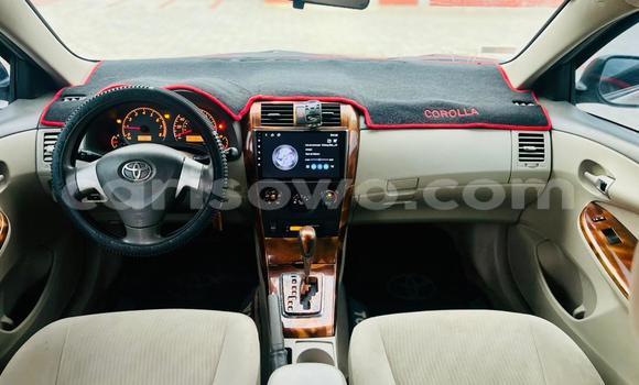 Acheter Occasion Voiture Toyota Corolla Beige à Cotonou, Benin Acheter Occasion Voiture Toyota Corolla Beige à Cotonou, Benin