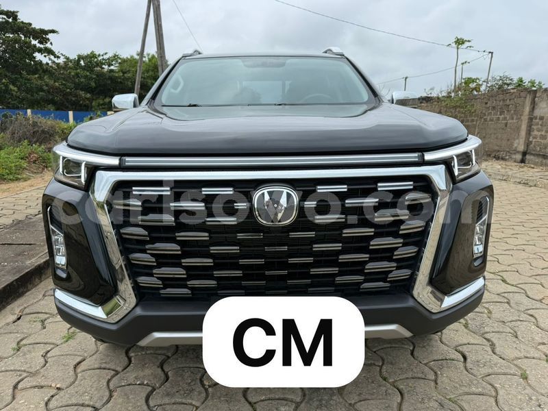 Big with watermark changan hunter benin parakou 25306