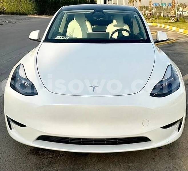 Big with watermark tesla model x benin cotonou 25332