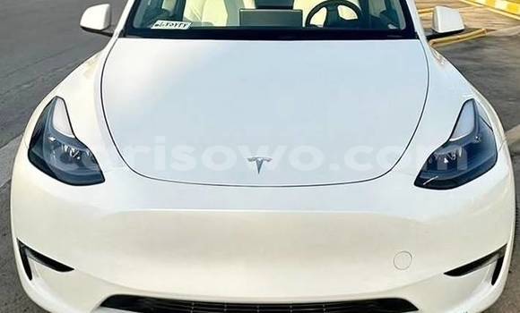 Acheter Occasion Voiture Tesla Model X Blanc à Cotonou, Benin