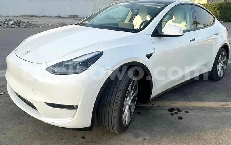 Big with watermark tesla model x benin cotonou 25332