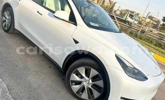 Acheter Occasion Voiture Tesla Model X Blanc à Cotonou, Benin Acheter Occasion Voiture Tesla Model X Blanc à Cotonou, Benin