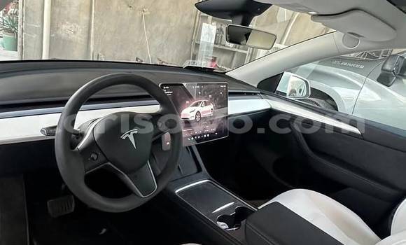 Acheter Occasion Voiture Tesla Model X Blanc à Cotonou, Benin Acheter Occasion Voiture Tesla Model X Blanc à Cotonou, Benin