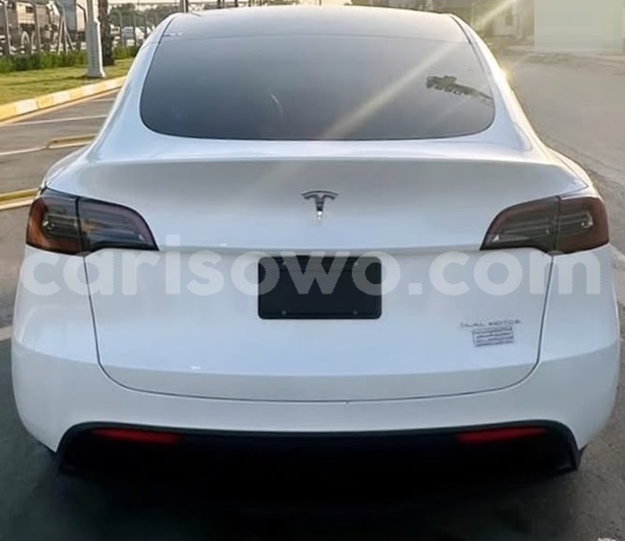 Big with watermark tesla model x benin cotonou 25332