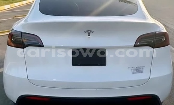 Acheter Occasion Voiture Tesla Model X Blanc à Cotonou, Benin Acheter Occasion Voiture Tesla Model X Blanc à Cotonou, Benin