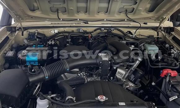 Acheter Occasion Utilitaire Toyota DA Beige à Abomey Calavi, Benin