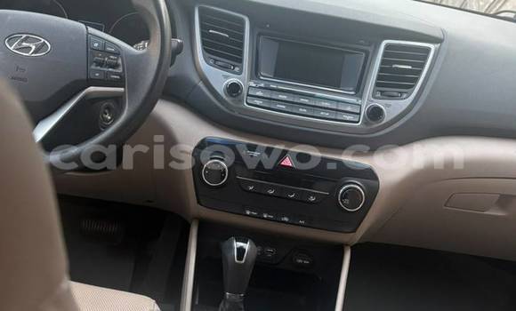 Sayi Na hannu Hyundai Tucson Sauran Mota in Cotonou a Benin Sayi Na hannu Hyundai Tucson Sauran Mota in Cotonou a Benin