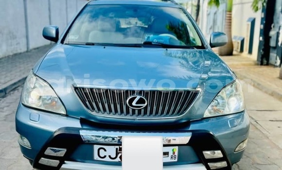 Acheter Occasion Voiture Lexus RX 330 Bleu à Cotonou, Benin