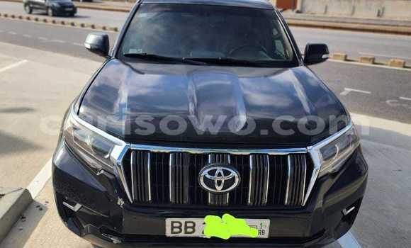 Acheter Occasion Voiture Toyota Prado Noir à Cotonou, Benin