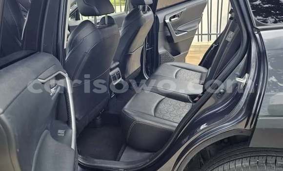 Acheter Occasion Voiture Toyota RAV4 Gris à Cotonou, Benin Acheter Occasion Voiture Toyota RAV4 Gris à Cotonou, Benin