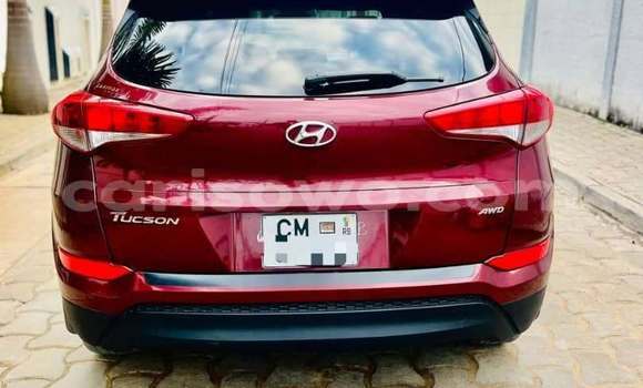 Buy Used Hyundai Tucson Red Car in Cotonou in Benign Buy Used Hyundai Tucson Red Car in Cotonou in Benign