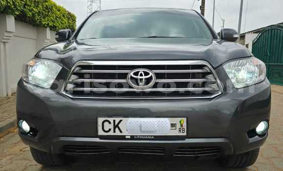 Acheter Occasion Voiture Toyota Highlander Gris à Cotonou, Benin