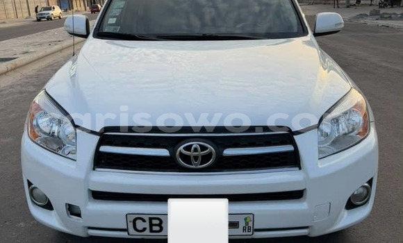 Acheter Occasion Voiture Toyota RAV4 Blanc à Cotonou, Benin