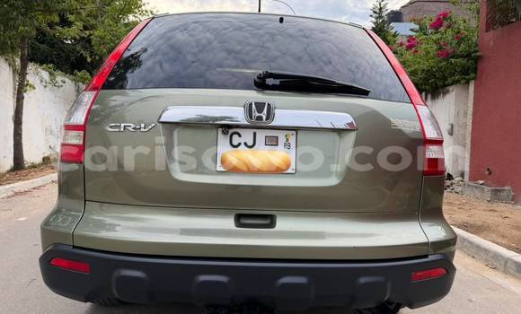Ra Àlòkù Honda CR–V Alawọ ewe Ọkọ̀ in Cotonou ni Benin Ra Àlòkù Honda CR–V Alawọ ewe Ọkọ̀ in Cotonou ni Benin