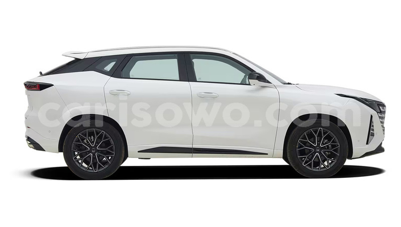 Big with watermark changan raeton benin sakete 25539