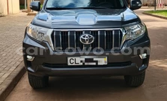 Acheter Occasion Voiture Toyota Prado Marron à Cotonou, Benin