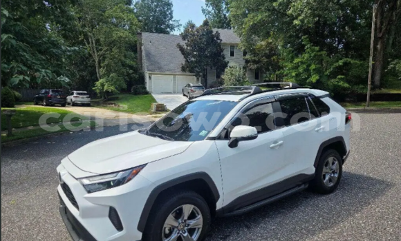 Buy Used Toyota RAV4 White Car in Batia in Atacora