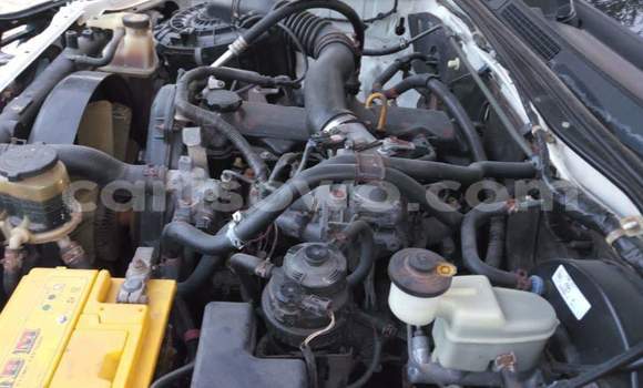 Sayi Na hannu Toyota Hilux White Mota in Cotonou a Benin Sayi Na hannu Toyota Hilux White Mota in Cotonou a Benin