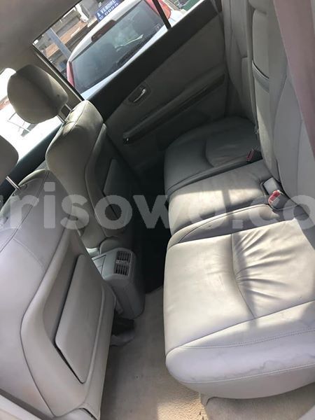 Big with watermark 53716284 140775563636689 7527657057915240448 n